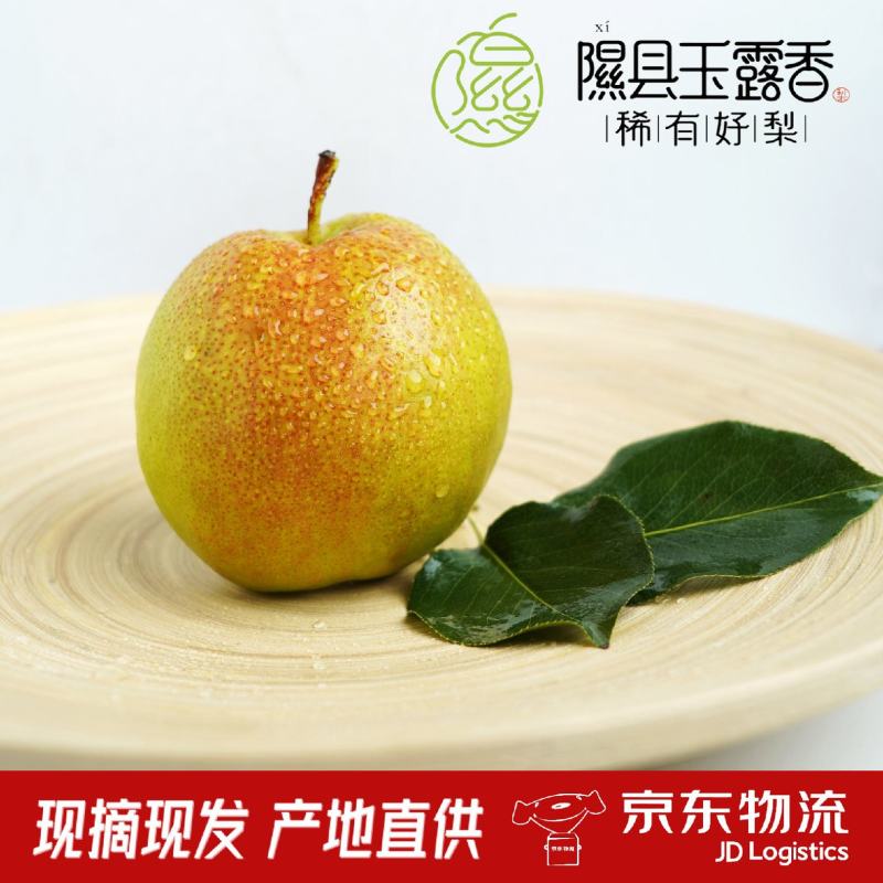 正宗山西隰县玉露香梨礼盒装一件代发，龙头企业