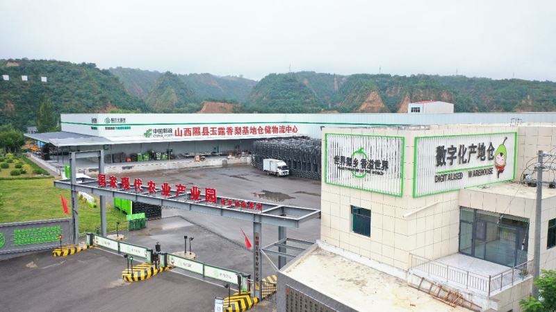 正宗山西隰县玉露香梨礼盒装整车