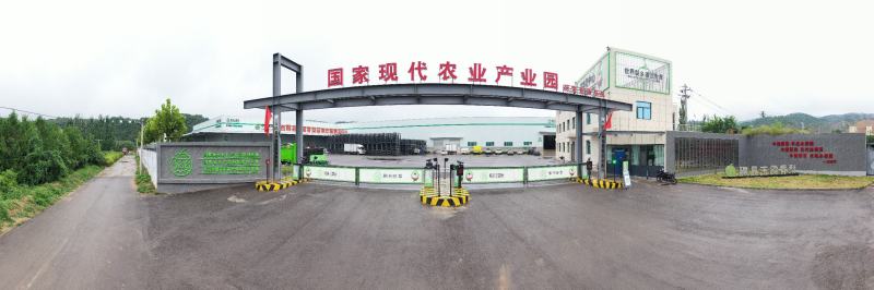 正宗山西隰县玉露香梨礼盒装整车