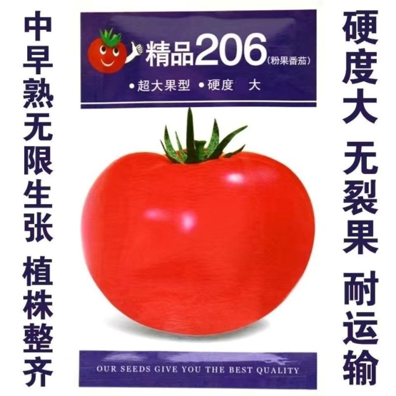 精品206粉果番茄种子大果型硬度大高产抗病无裂果基地种植