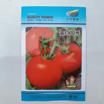 国家审定品种渝红10号番茄早熟有限生长型西红柿高产抗病大