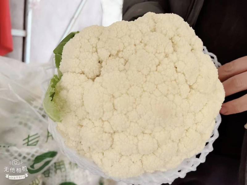 白面青梗松花菜散花2~3斤乳白