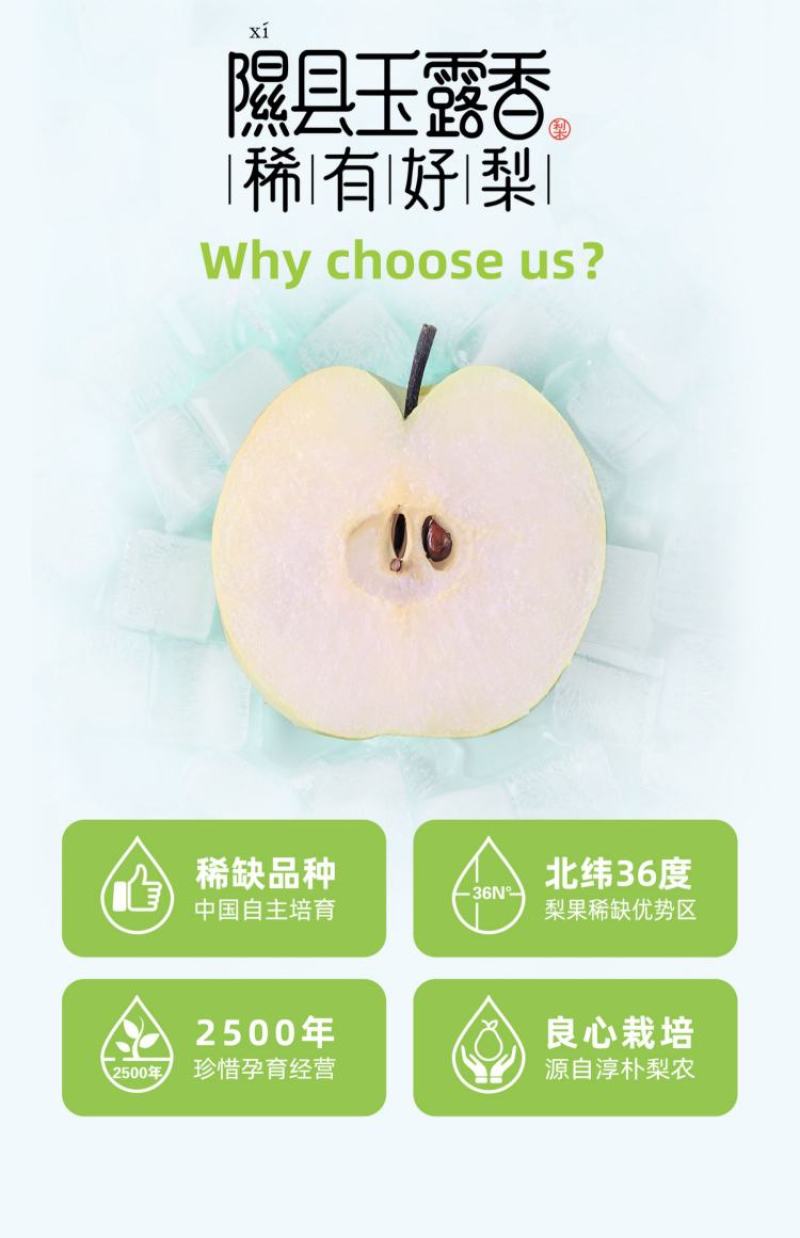 正宗山西隰县玉露香梨6颗7斤黄金款一件代发
