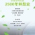 正宗山西隰县玉露香梨6颗7斤黄金款一件代发