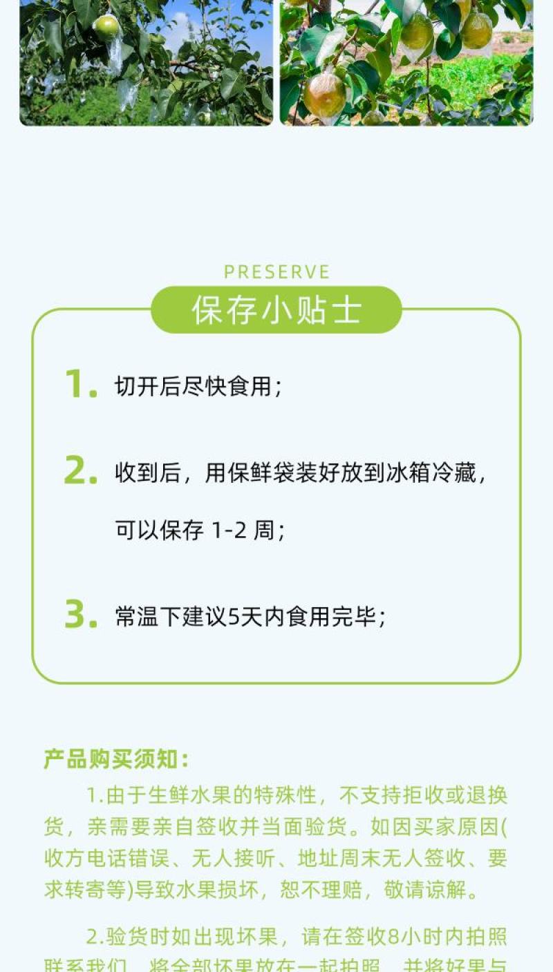 正宗山西隰县玉露香梨6颗7斤黄金款一件代发