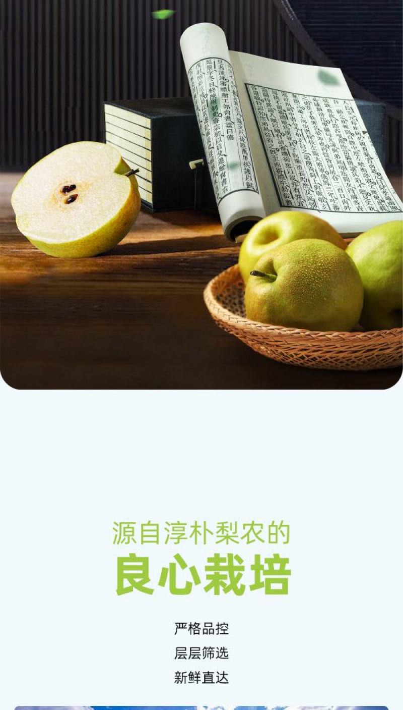 正宗山西隰县玉露香梨6颗7斤黄金款一件代发