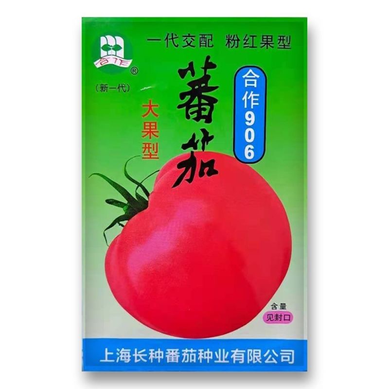 上海合作903大红番茄906种子918早熟高产春秋种大果