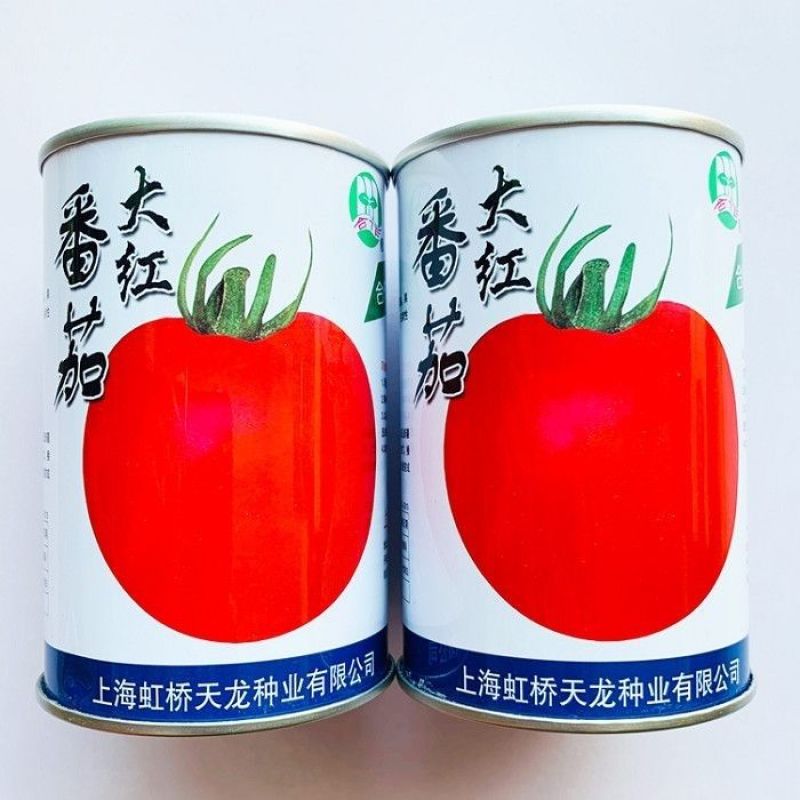 上海合作903大红番茄906种子918早熟高产春秋种大果