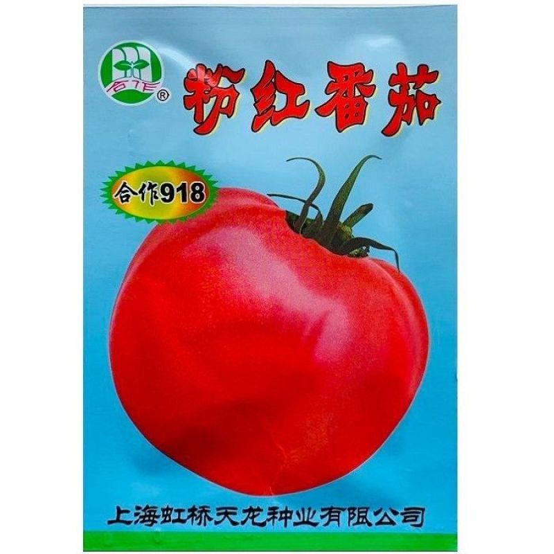 上海合作903大红番茄906种子918早熟高产春秋种大果
