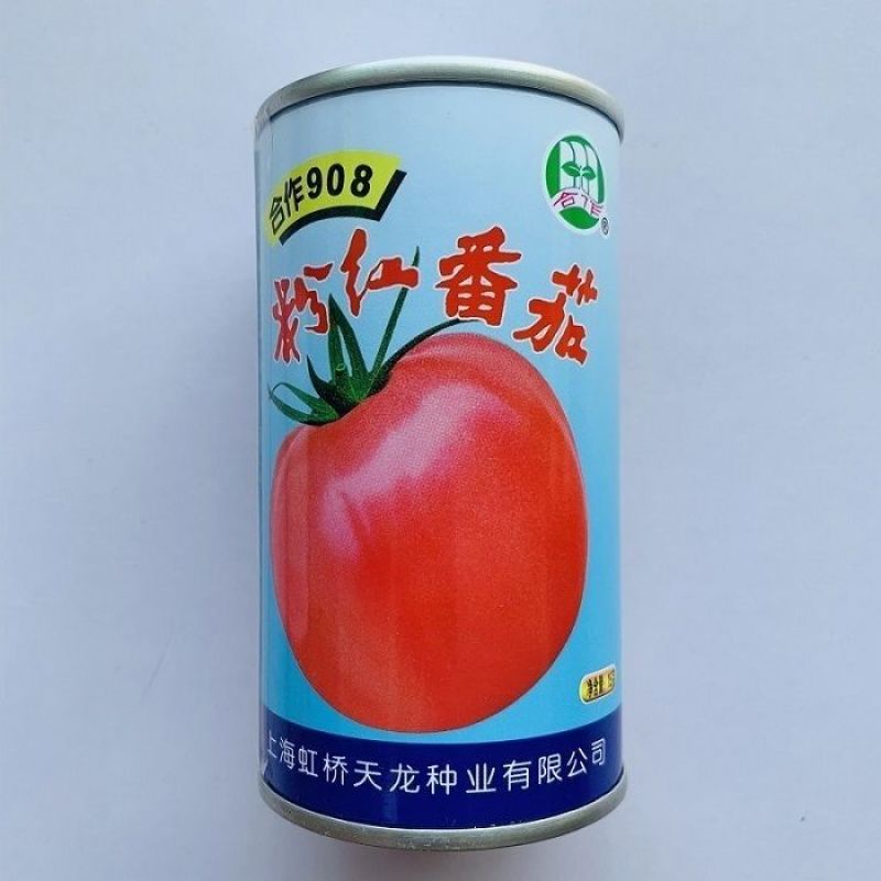 上海合作903大红番茄906种子918早熟高产春秋种大果