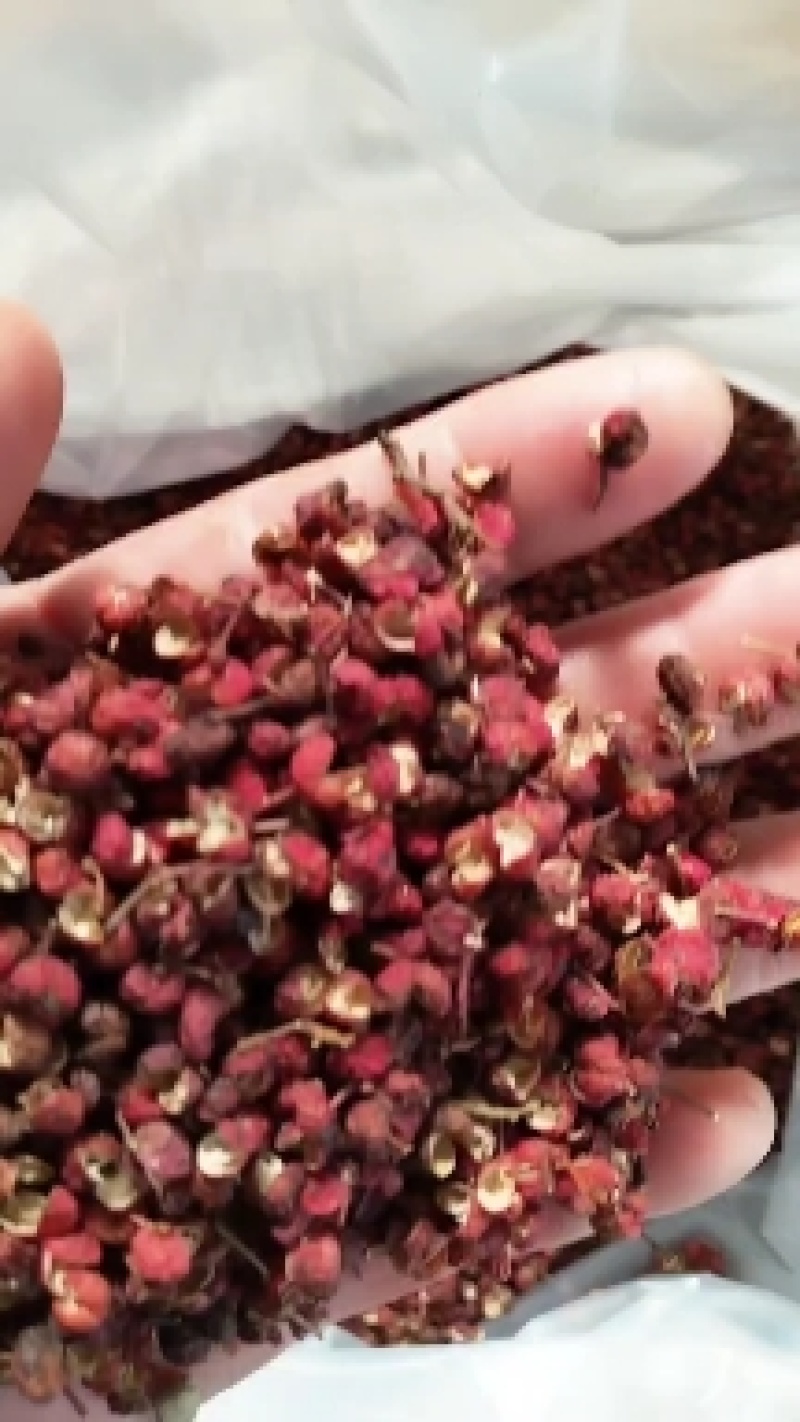 陕西渭南华州秦塬花椒农户一手货源。产地直销。麻香龙度大