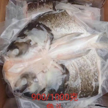 鲢鱼头