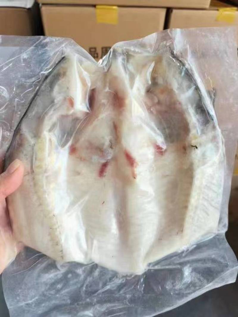 鲢鱼头