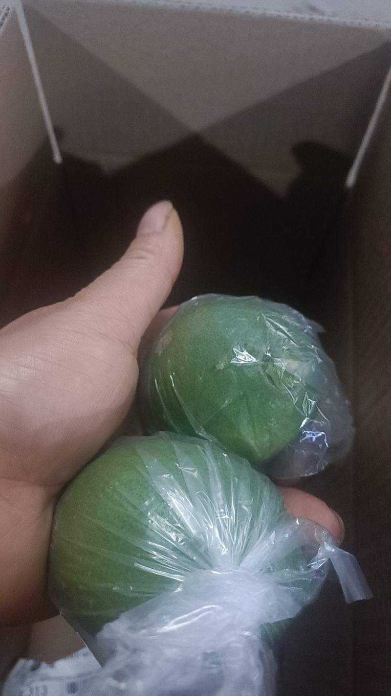 柠檬青柠檬