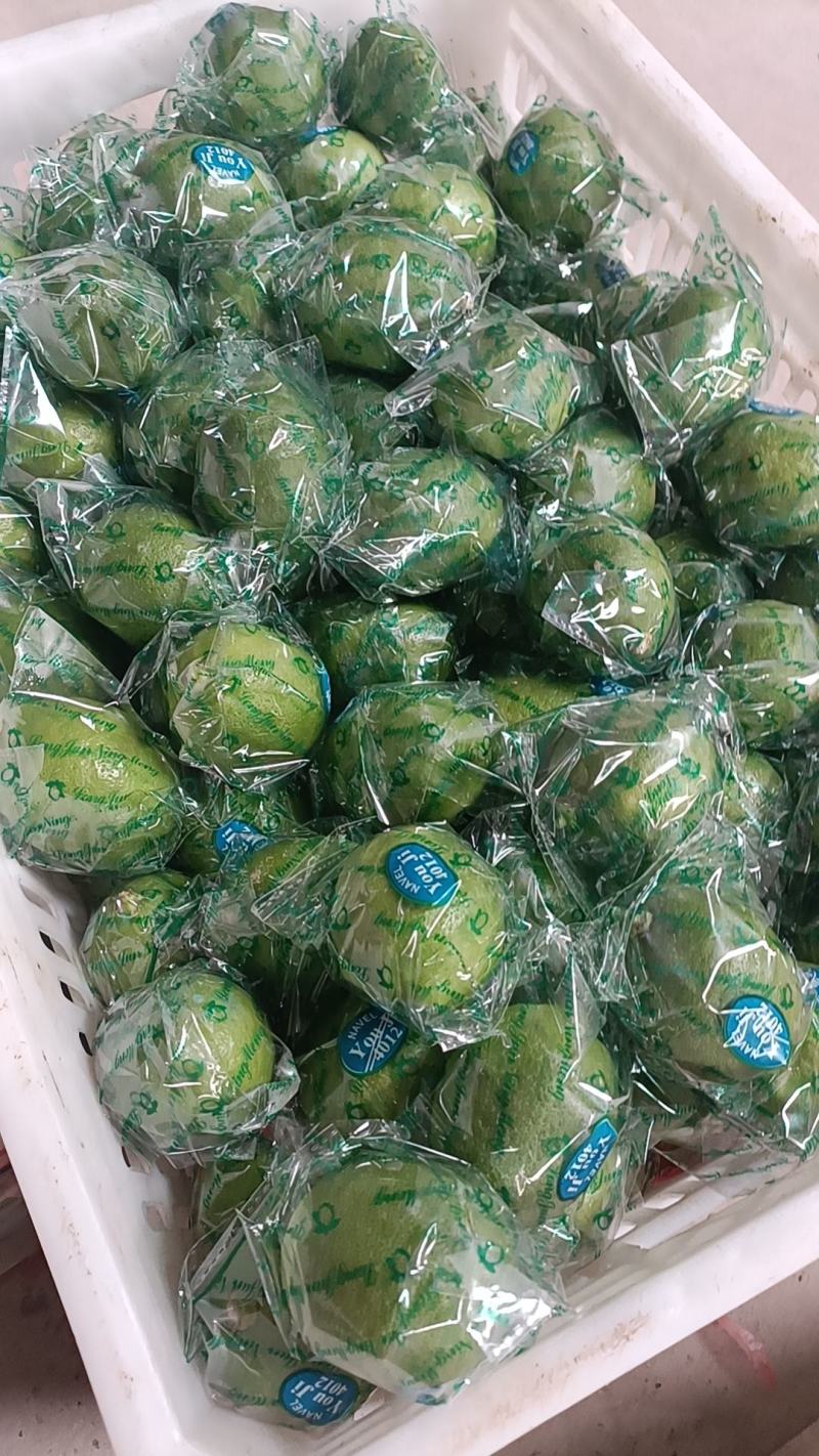 柠檬青柠檬