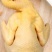 龙岩长汀河田鸡