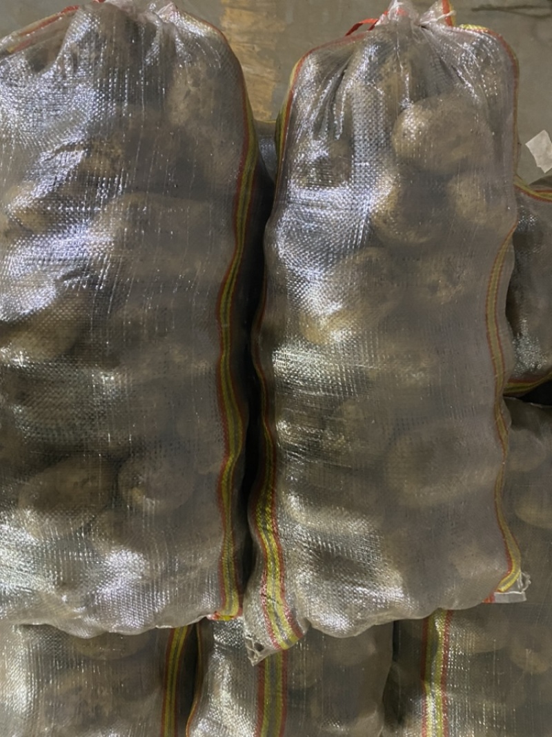 内蒙土豆黄心土豆3两起步