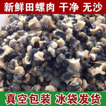 （包邮）山东省热卖)微山湖精品螺狮肉,田螺肉,真空包装