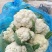 山东淄博高青有机菜花