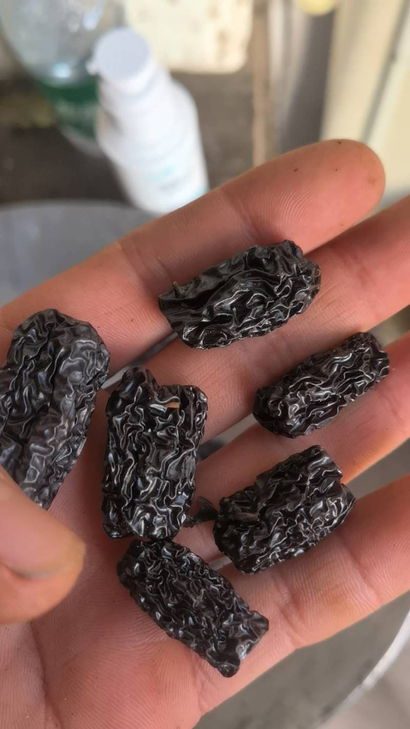 黑枣水晶枣选无硫关书药业批发各种规格中药材