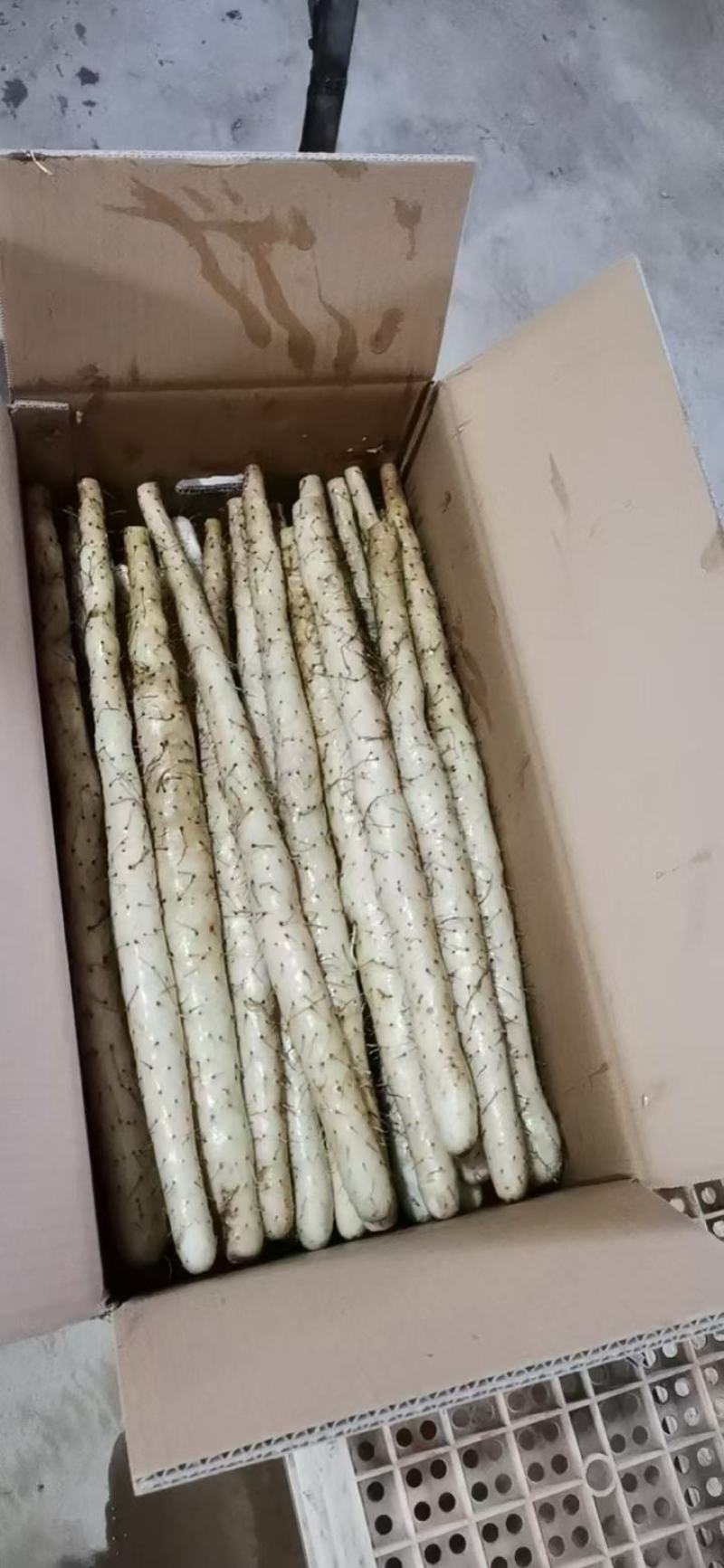 河北山药小白嘴山药，对接全国商超电商批发市场