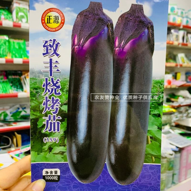正源致丰烧烤茄种子长条粗棒型深紫色茄子种子果肉白色特高产