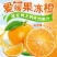 青见果冻橙橘子皮薄香甜支持电商一件代发包邮批发