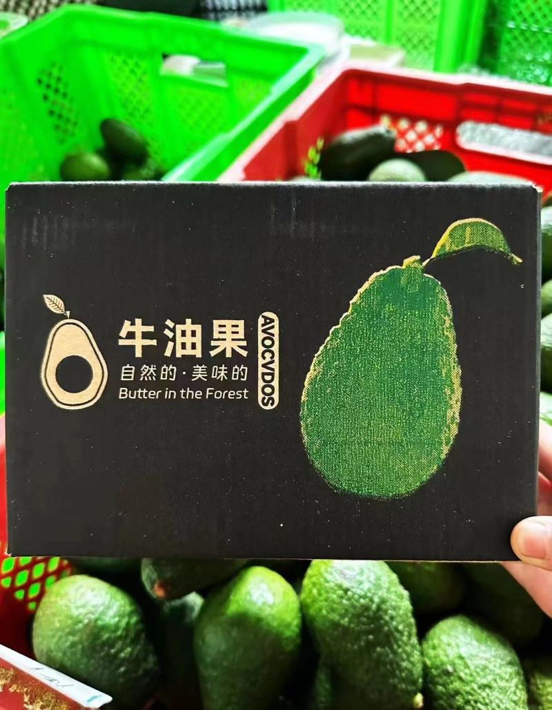 一件代发礼盒装云南孟连哈斯牛油果柔软香滑不腻油分含量高