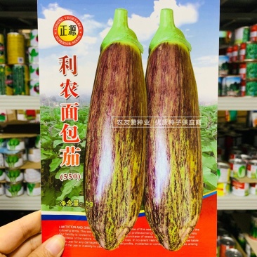 利农面包茄种子中晚熟品种果肉淡绿色面包茄子种子全国各地播