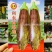 利农面包茄种子中晚熟品种果肉淡绿色面包茄子种子全国各地播