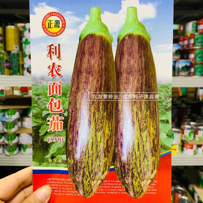 利农面包茄种子中晚熟品种果肉淡绿色面包茄子种子全国各地播
