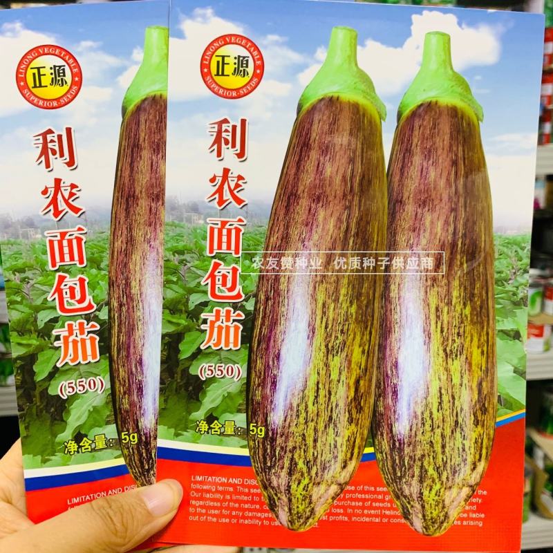利农面包茄种子中晚熟品种果肉淡绿色面包茄子种子全国各地播