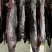 黑色烟熏二刀腊肉(腊肉香肠源头工厂一手货源量大从优)