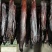 黑色烟熏二刀腊肉(腊肉香肠源头工厂一手货源量大从优)