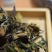 【精品白茶】云南白茶600斤产地货源质量保证