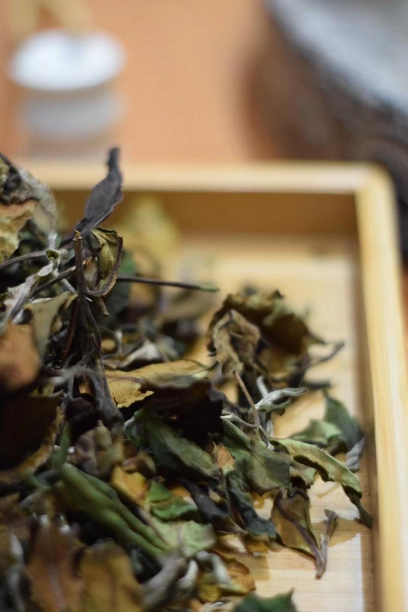 【精品白茶】云南白茶600斤产地货源质量保证
