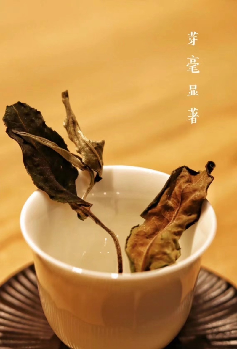 【精品白茶】云南白茶600斤产地货源质量保证