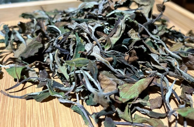 【精品白茶】云南白茶600斤产地货源质量保证