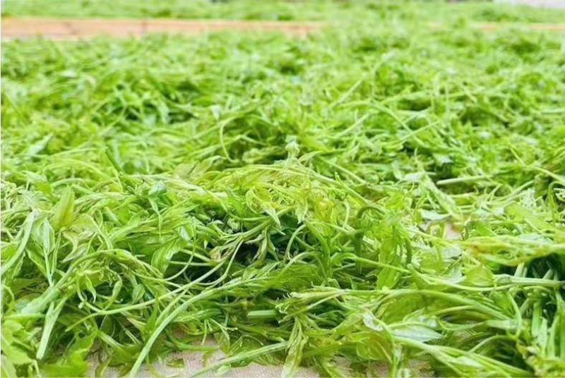 张家界莓茶