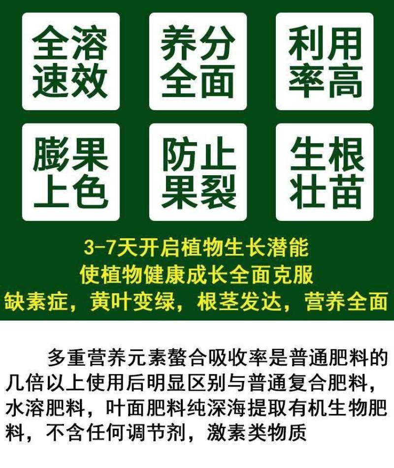 海法艾丽丰钙镁硼铁锌硝态氮中微量元素高钙水溶肥叶面肥黄叶