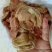817大鸡胗，单个克重16克以上