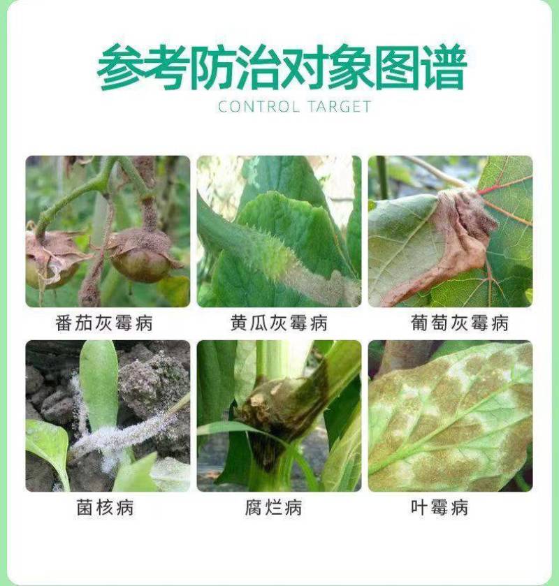 50%腐霉利黄瓜番茄草莓葡萄果树灰霉病菌核病专用正品农药