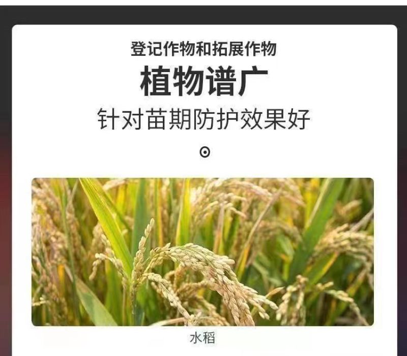 甲霜恶霉灵烂根死苗立枯病根腐病杀菌剂根腐灵植物土壤消毒