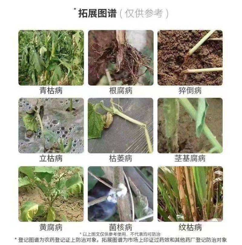甲霜恶霉灵烂根死苗立枯病根腐病杀菌剂根腐灵植物土壤消毒