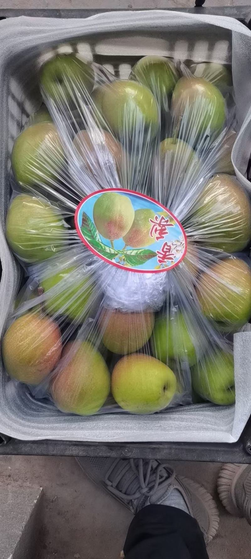 红香酥梨大量有货，可供应电商，社区团购，商超，市场货冷库