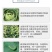 12%甲维虫螨腈杀虫剂甲维盐虫螨腈小菜蛾农药触杀胃毒杀虫