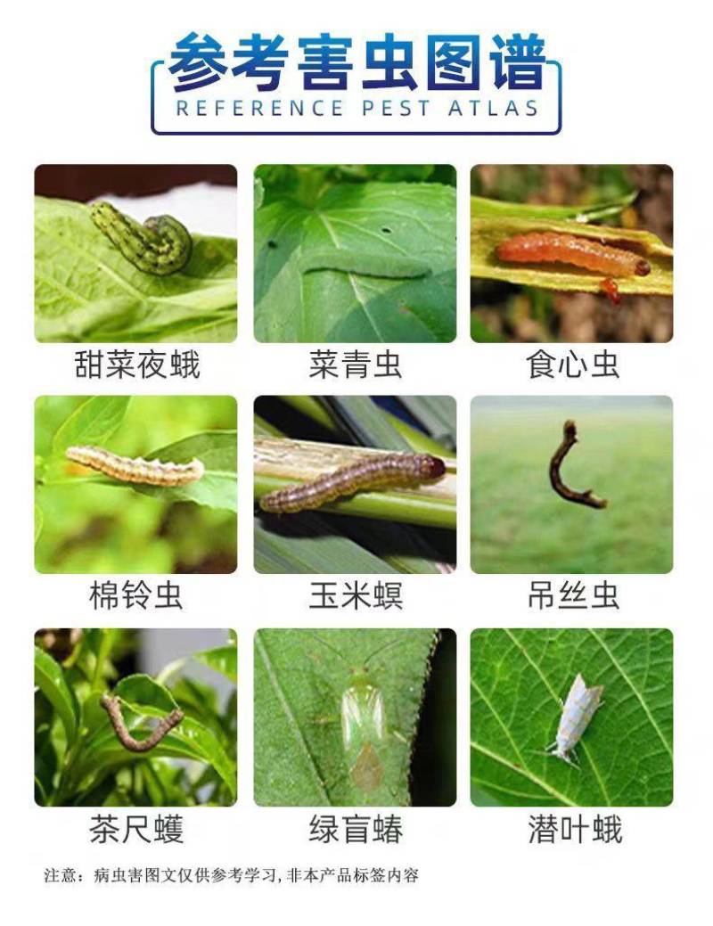 12%甲维虫螨腈杀虫剂甲维盐虫螨腈小菜蛾农药触杀胃毒杀虫