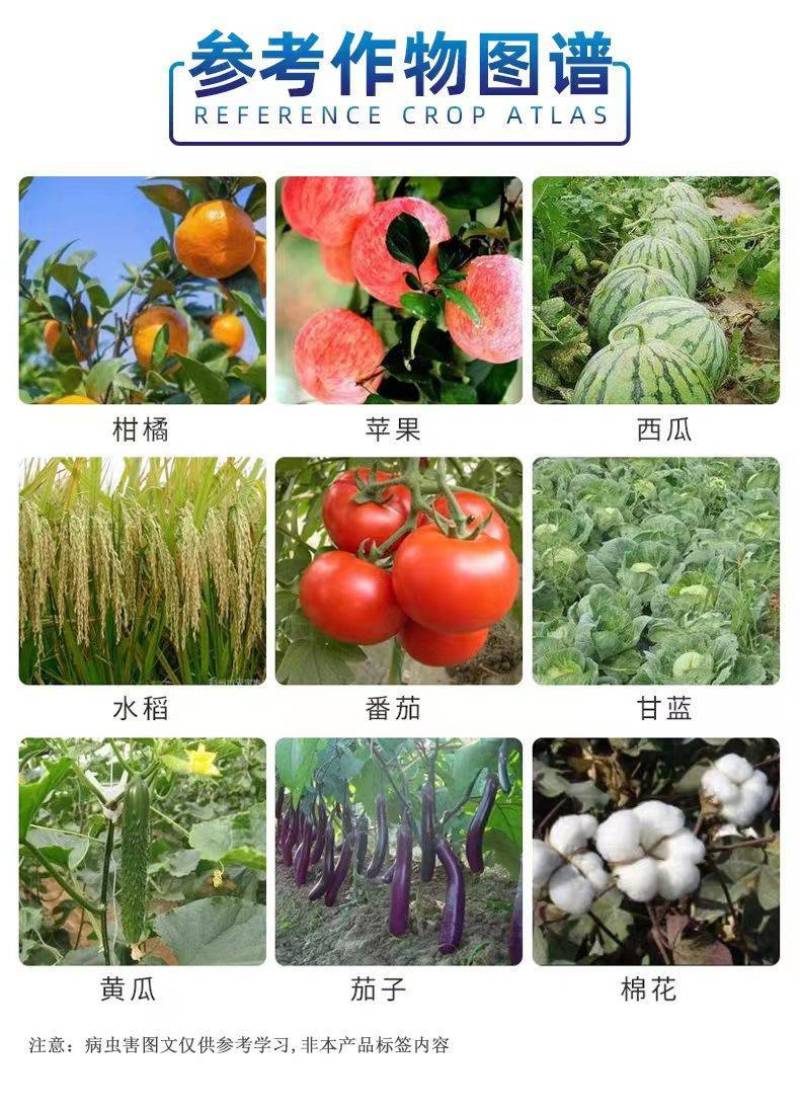 12%甲维虫螨腈杀虫剂甲维盐虫螨腈小菜蛾农药触杀胃毒杀虫