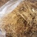 铃兰种芽产地直销批发零售价格优惠，数量充足
