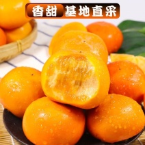 陕西阳丰柿子，大量有货，供应电商，商超，各大超市